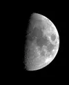 Half Moon Astro avatar
